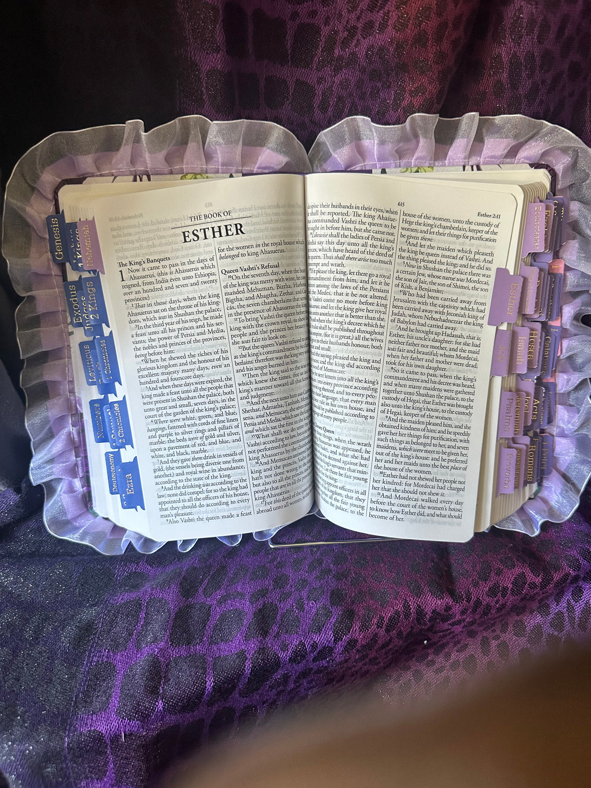KJV Study Bible